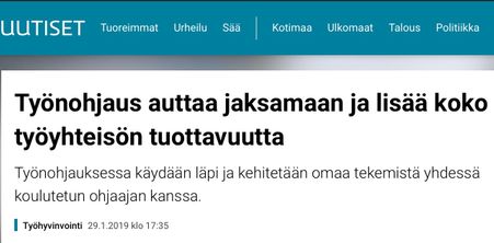YLE-uutinen 29.1.2019